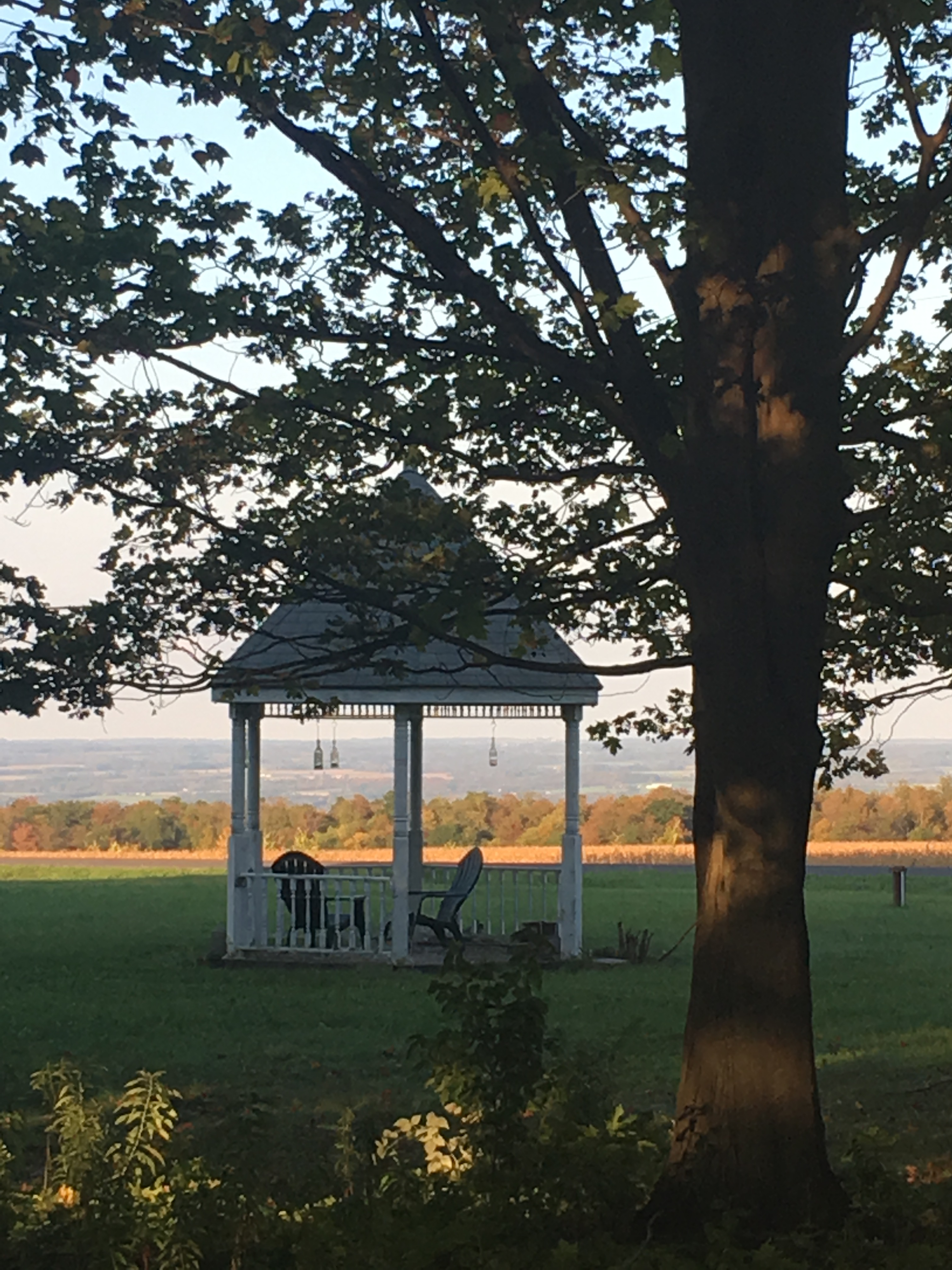 3889BB3B-B019-4802-88B0-AB359CC3D03D