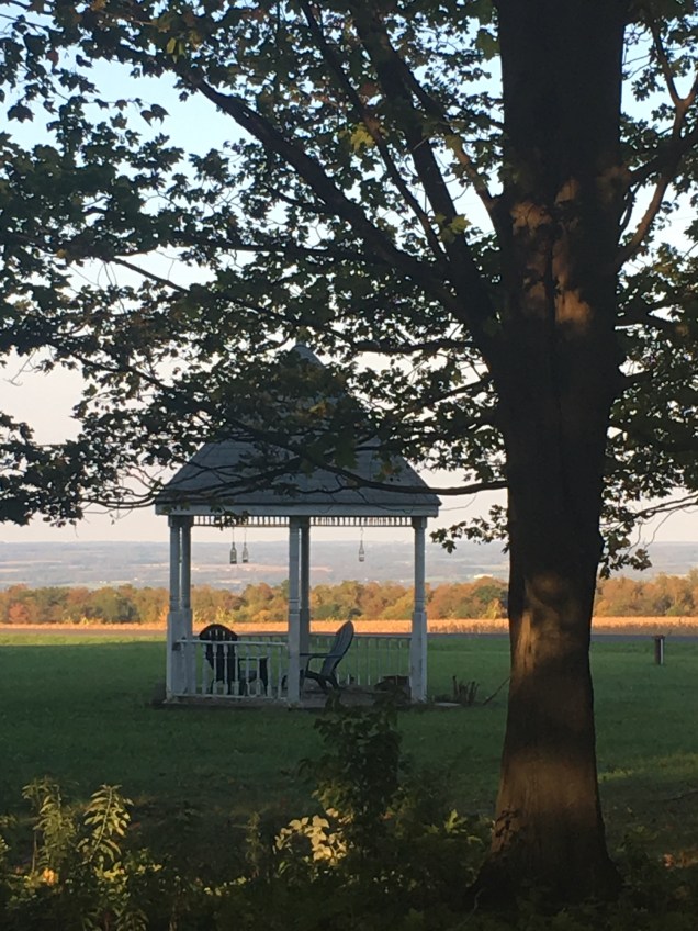 3889BB3B-B019-4802-88B0-AB359CC3D03D