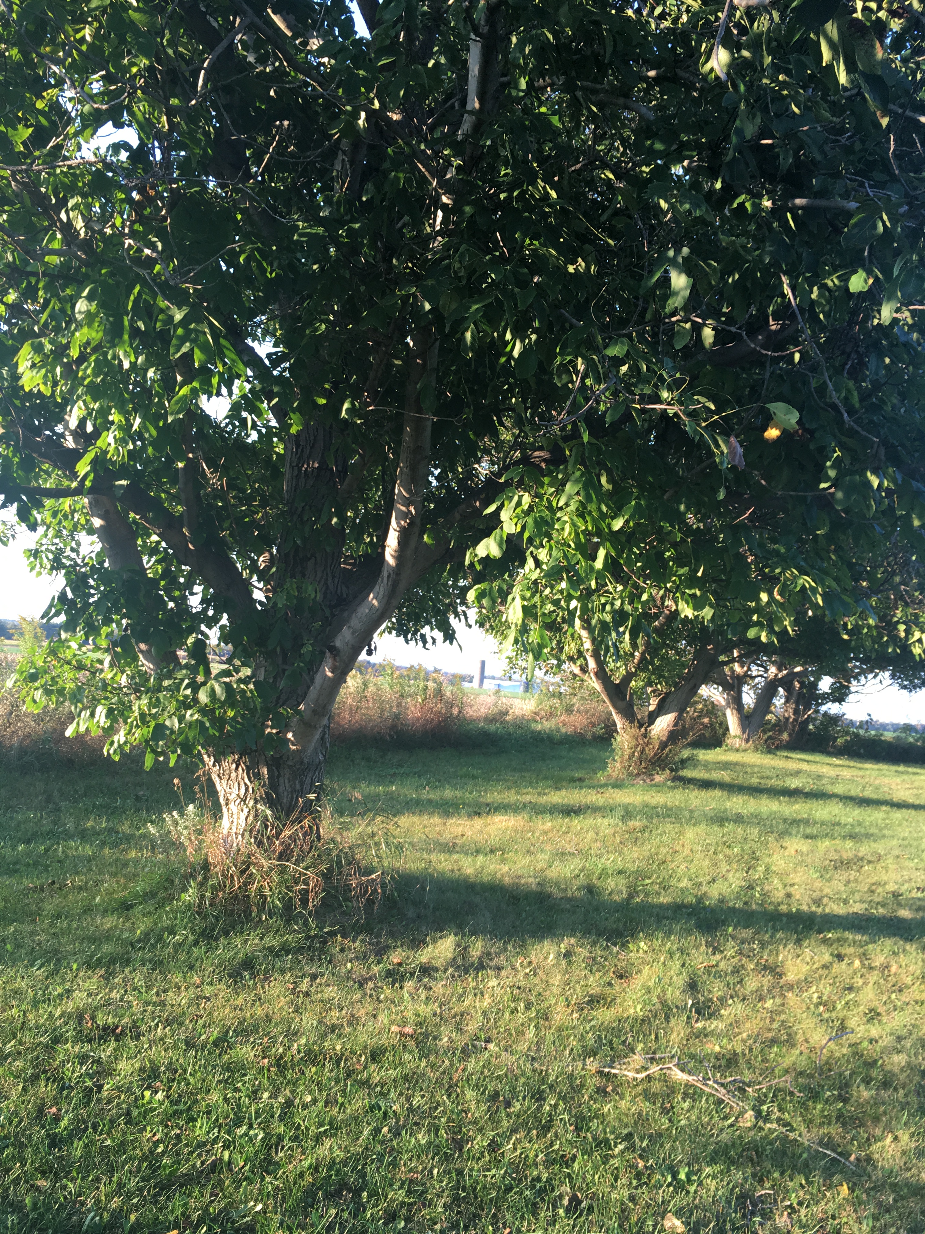 9F3F83E8-76E3-4054-A04B-5ADF8994DD4F