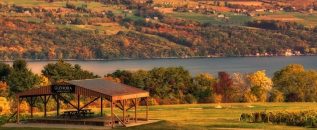 glenora10011403_966x333