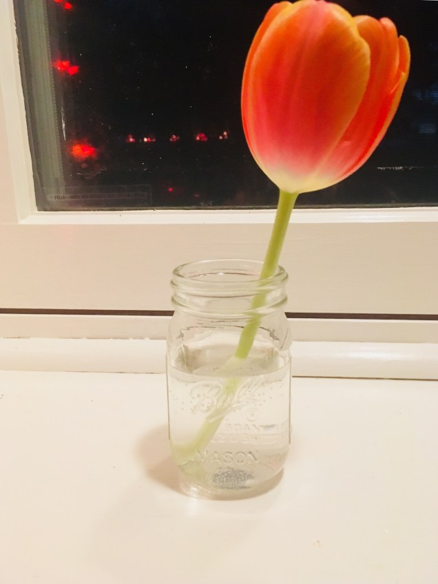 3EFE5BBE-472E-499D-A8A7-17B0F1D2E847