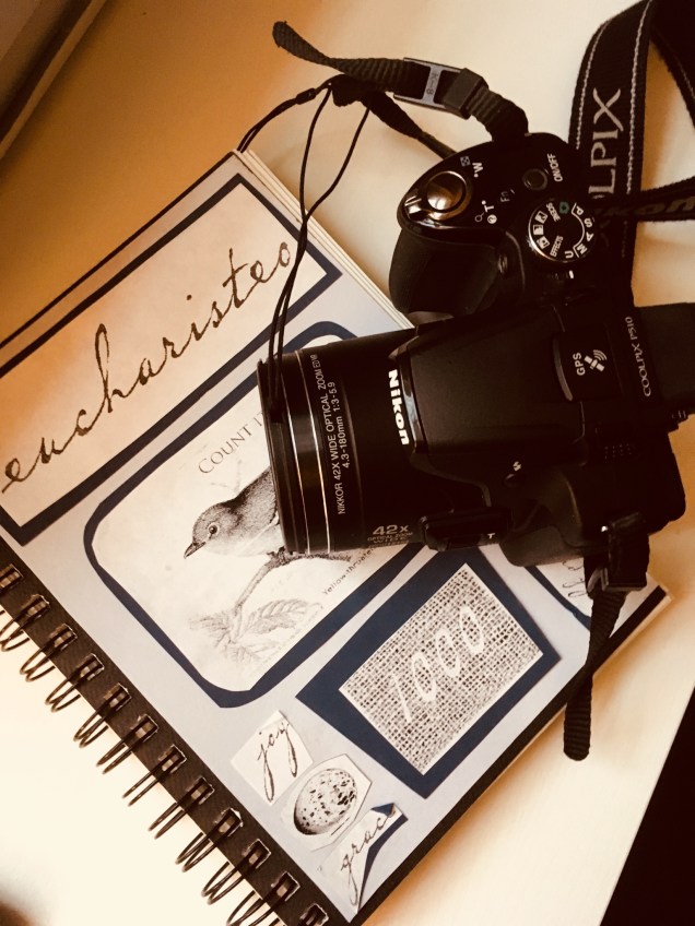 D7790ECE-7BF7-430E-AB05-76BE644F3779