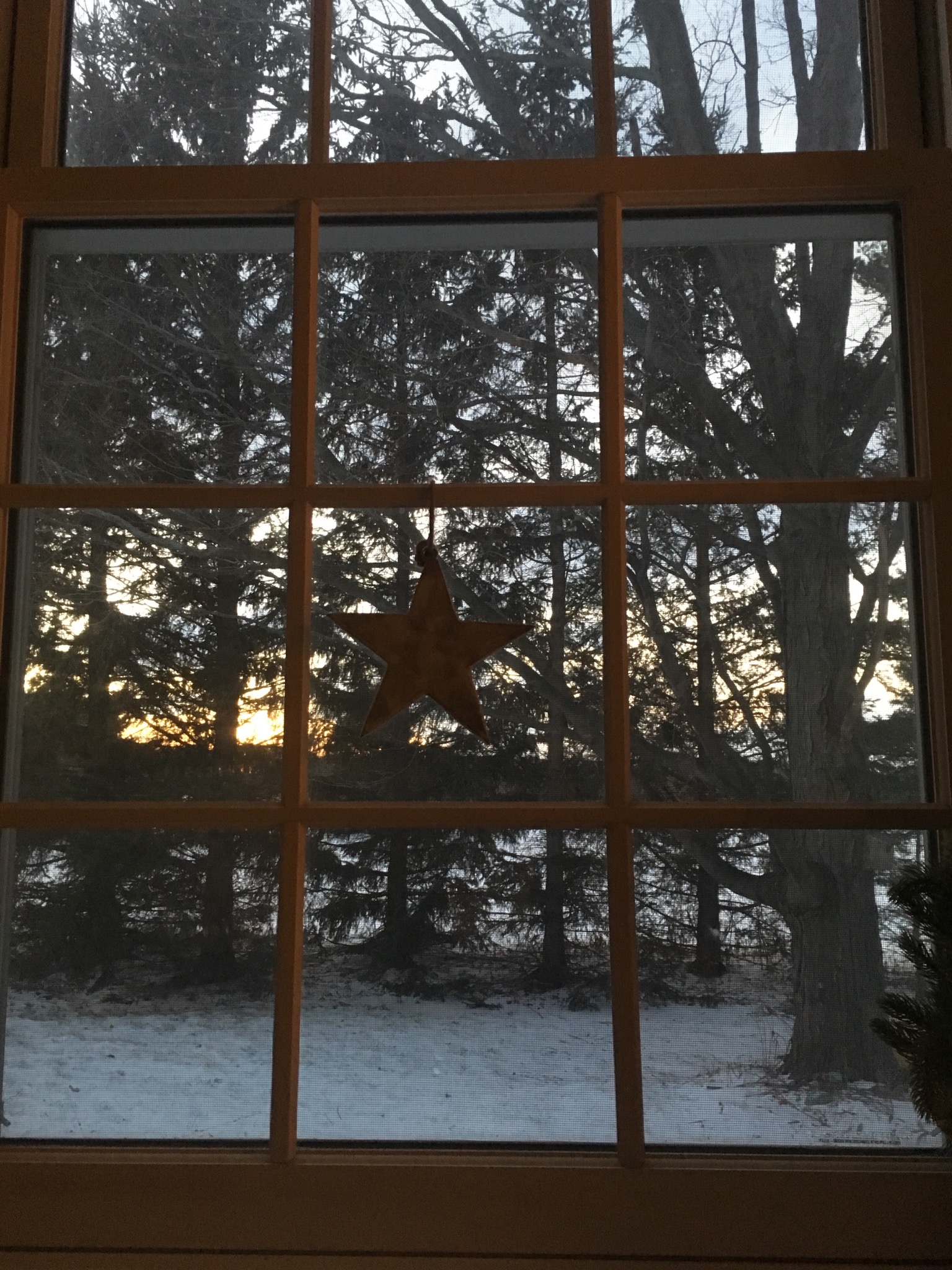 A7CDFF70-C9CF-466C-9303-17982EBEEAAC