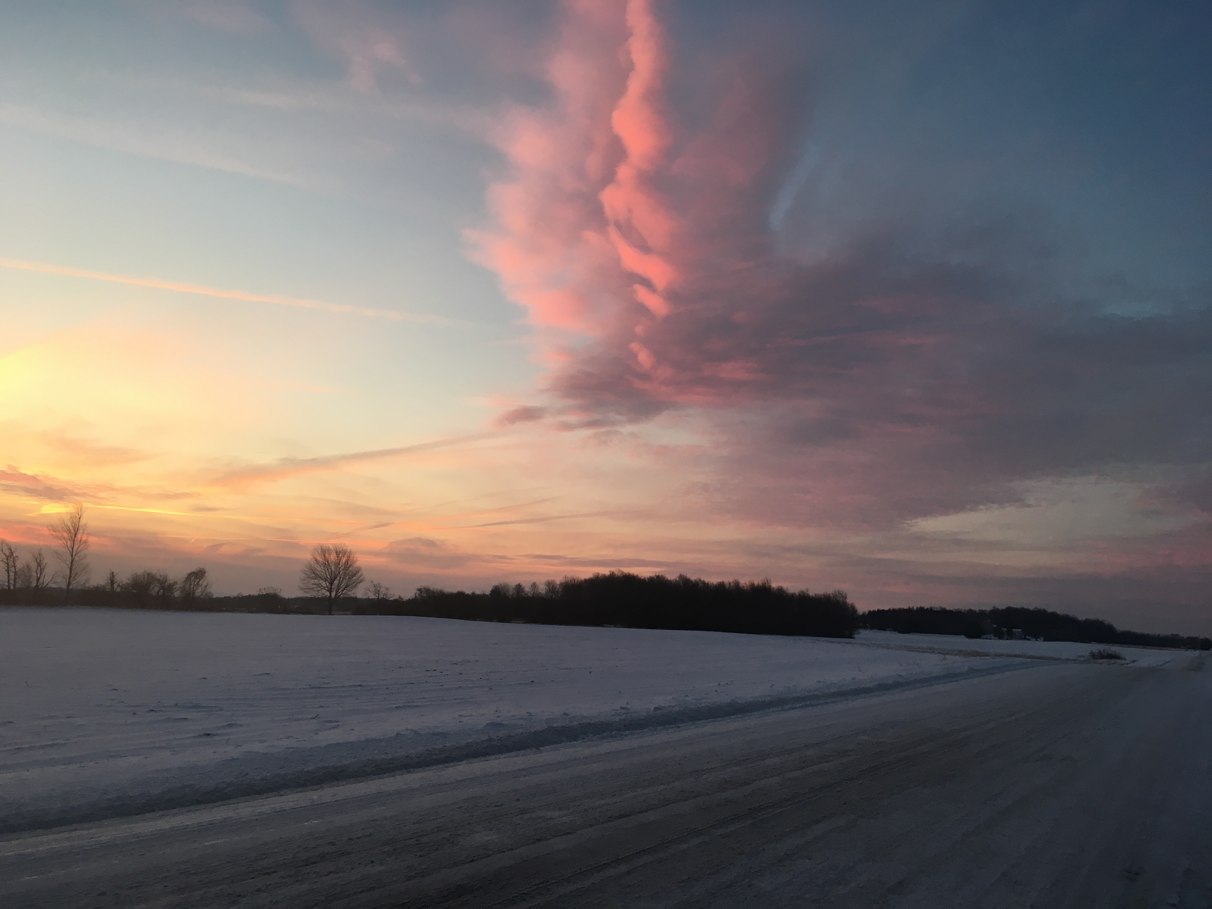 28B97A59-1886-4E43-BFC1-8C2388A0BB53