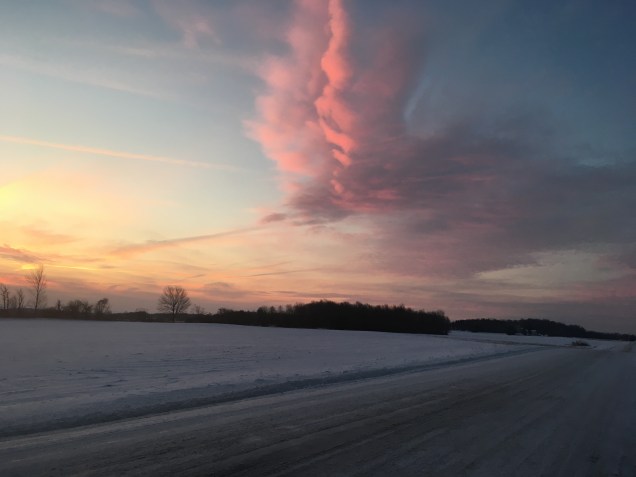 28B97A59-1886-4E43-BFC1-8C2388A0BB53