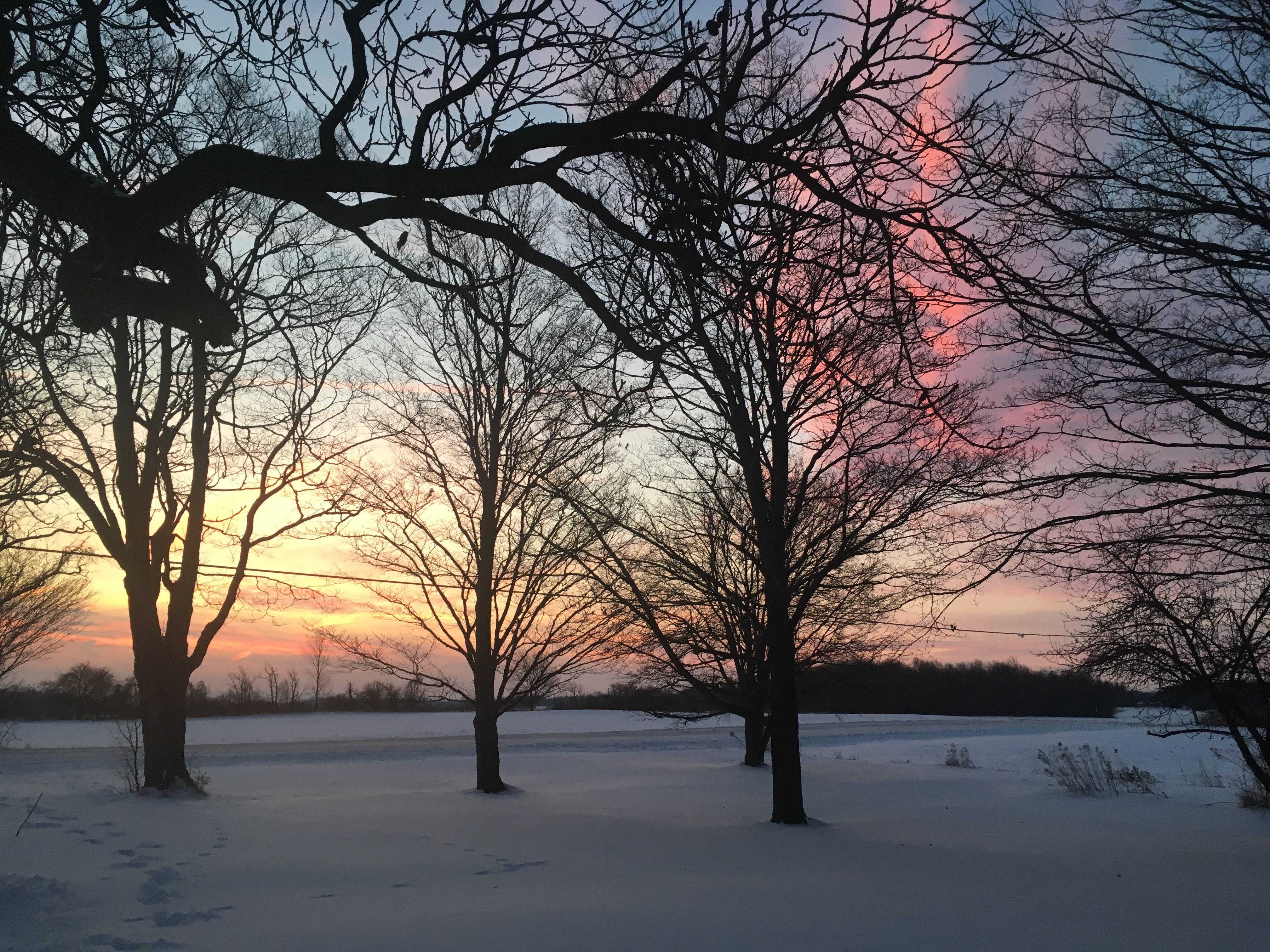 FD698399-6646-40D6-82E4-AED54A9AAB29