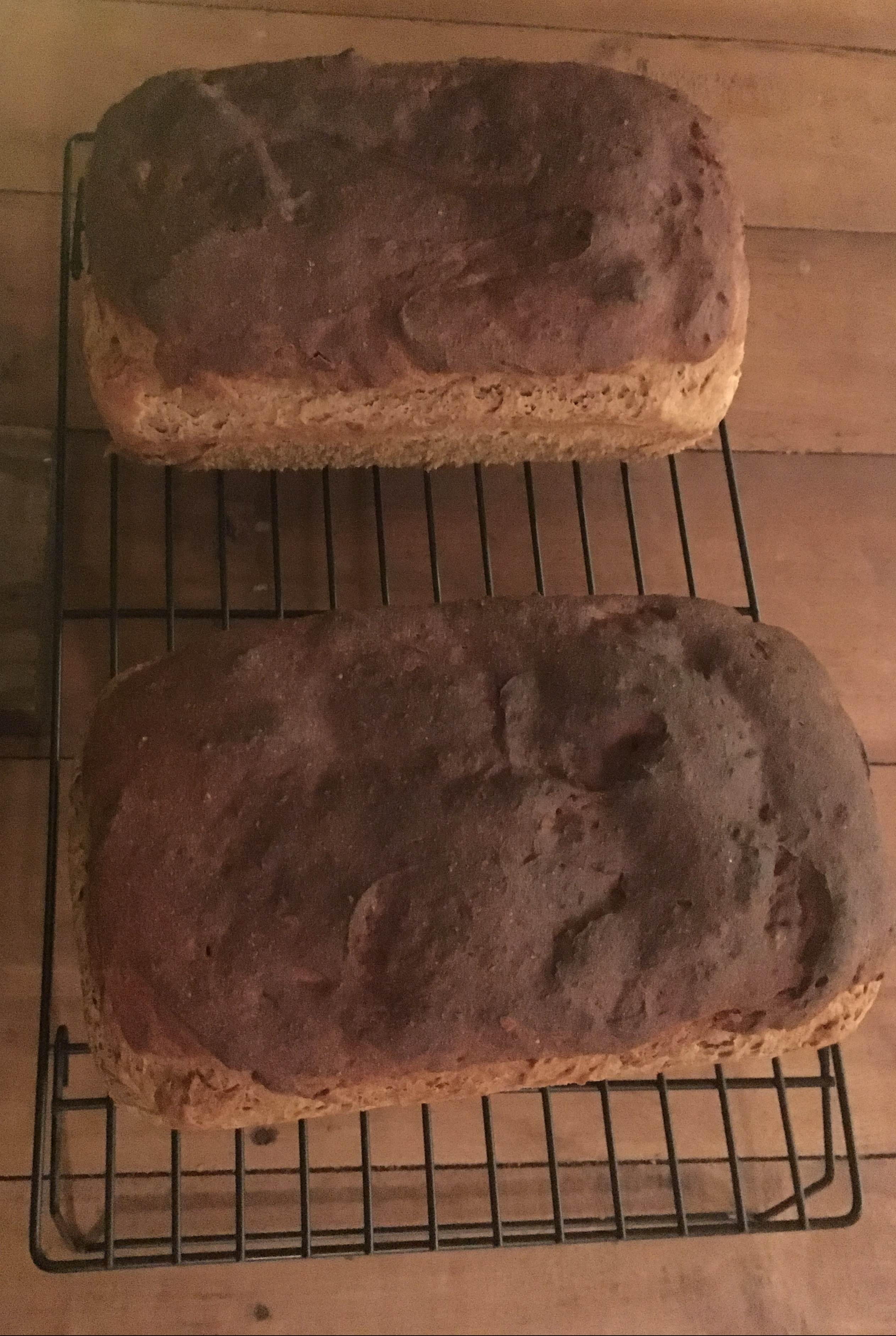 31B6B03B-66C0-448C-B647-A64CB815326D